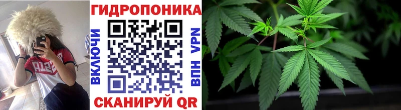 Как найти наркотики Курчатов АМФ  Меф  НБОМе  Alpha PVP 