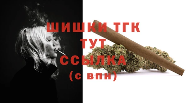 тгк Коряжма