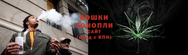 ГАЛЛЮЦИНОГЕННЫЕ ГРИБЫ Костерёво