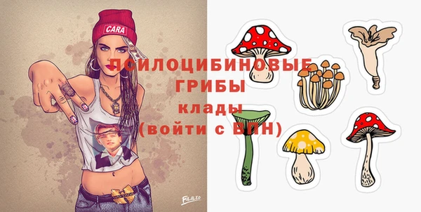 прущая мука Краснослободск
