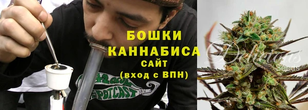 ГАЛЛЮЦИНОГЕННЫЕ ГРИБЫ Костерёво